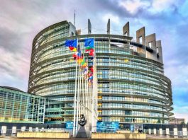 Eurocamera, sì al voto per delega per le deputate incinte o neo-madri