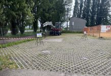 Ostiglia, chiuso parcheggio del cimitero per tagliare alberi pericolanti. Barberio: “Prima la sicurezza”