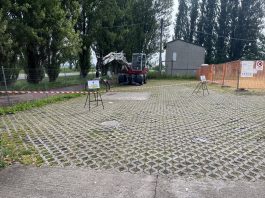 Ostiglia, chiuso parcheggio del cimitero per tagliare alberi pericolanti. Barberio: “Prima la sicurezza”