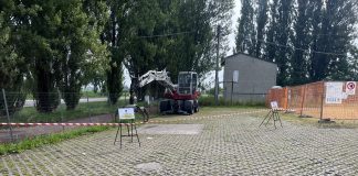 Ostiglia, chiuso parcheggio del cimitero per tagliare alberi pericolanti. Barberio: “Prima la sicurezza”