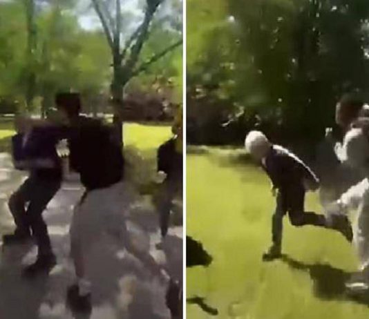 Parma, docenti aggrediti e picchiati da studenti: “E non chiamare il 113”