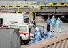 Hantavirus, Bassetti: “Problema si allarga oltre la nave da crociera, purtroppo ne sentiremo parlare”