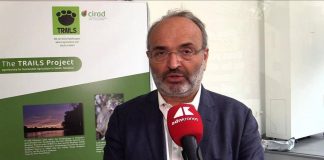 Sostenibilità, Pratesi (Eiis): “Nuove generazioni devono assumersi responsabilità”