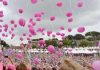 Tumori, in 200mila a Roma per ‘Race for the cure’