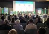 Sostenibilità: report, Italia leader in Europa per circolarità