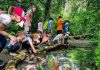Weekend alla Palude di Ostiglia tra natura, storie e scoperte