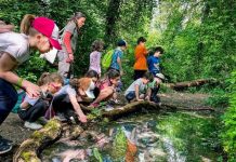 Weekend alla Palude di Ostiglia tra natura, storie e scoperte