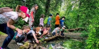 Weekend alla Palude di Ostiglia tra natura, storie e scoperte