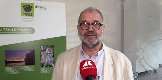 Sostenibilità, Rival (Cirad): “Con Trails integrazione tra foreste e palma da olio”