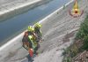 Si spinge nel Diversivo per bere ma rimane intrappolato: salvato cerbiatto