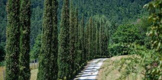 Sostenibilità, tenuta Acqua Panna habitat ideale di 121 specie di vertebrati e piante