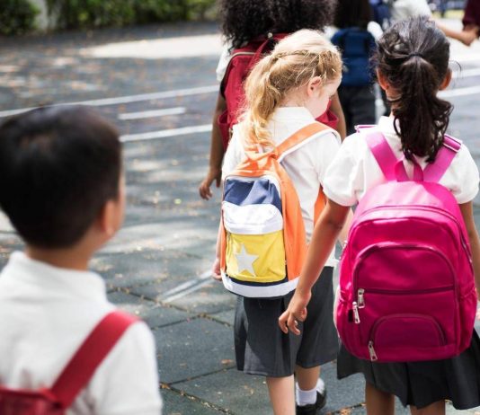 Ponti sul Mincio, fino al 31 agosto aperte le iscrizioni ai servizi scolastici
