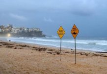 Australia, uomo muore dopo attacco di squalo al largo di Perth