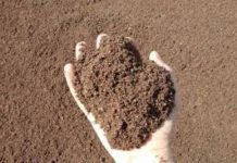 Confai Mantova: innovazione lenta e suoli a rischio nella provincia agricola