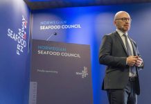 Food, il mercato ittico retail italiano cresce ancora: oltre 4 miliardi di euro nel 2026