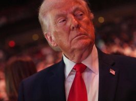 Trump: “Ue non rispetta accordo, dazi su camion e auto aumentano del 25%”