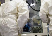 Ebola, la conferma di un focolaio in Congo: “246 casi sospetti e 65 morti”