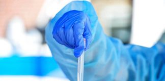 Hantavirus, il punto: contagio e sintomi, cosa c’è da sapere e come proteggersi
