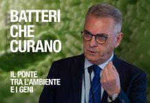 I batteri che curano, l’immunologo: “Microbiota in equilibrio e diversità sono la garanzia per invecchiamento in salute”