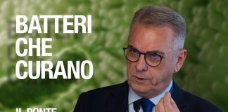 I batteri che curano, l’immunologo: “Microbiota in equilibrio e diversità sono la garanzia per invecchiamento in salute”