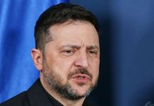 Zelensky scrive a Putin “Incontriamoci e finiamo questa guerra”
