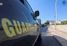 Truffa su fondi veterinari a Palermo, sequestro da 175 mila euro