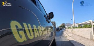 Truffa su fondi veterinari a Palermo, sequestro da 175 mila euro