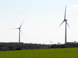 Ue, via libera ad aiuti di Stato in Italia: 23 mld per l’energia rinnovabile