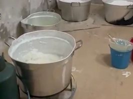 Stroncato traffico internazionale di droga tra Lazio e Sud America, 11 indagati