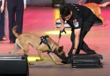 Cina, da inizio anno sequestrate oltre 4 tonnellate di droga alle frontiere
