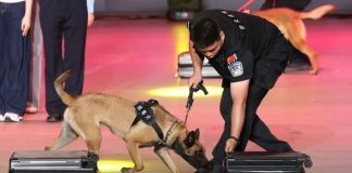 Cina, da inizio anno sequestrate oltre 4 tonnellate di droga alle frontiere