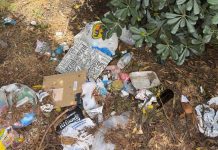 Roma, aiuole e marciapiedi nel degrado intorno alla Nuvola: all’Eur cittadini costretti a camminare fra le auto