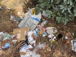 Roma, aiuole e marciapiedi nel degrado intorno alla Nuvola: all’Eur cittadini costretti a camminare fra le auto