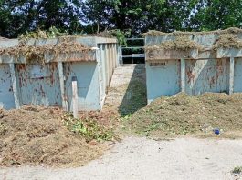 Casaloldo, erba fuori dai cassoni. Comune non ci sta: “Si richiede educazione e rispetto”