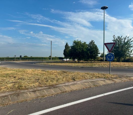 Asola, rotatoria ripulita: ora Comune cerca sponsor per manutenzione e cura del verde
