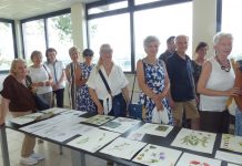 Sermide, successo per “Plantae”: in esposizione gli acquerelli botanici dedicati all’oasi della Digagnola