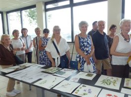 Sermide, successo per “Plantae”: in esposizione gli acquerelli botanici dedicati all’oasi della Digagnola