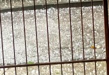 Sermide e Felonica, inviato alla Regione il censimento dei danni per il maltempo
