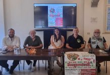 Musica, motori e solidarietà: dal 9 al 12 luglio a Poggio Rusco torna Dragonstock