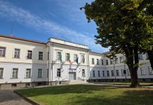 Viadana, Giugno al MuVi: libri, arte, giochi e incontri per tutte le età