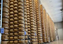 Nuovo magazzino C a Suzzara: capacità aumentata e servizi potenziati