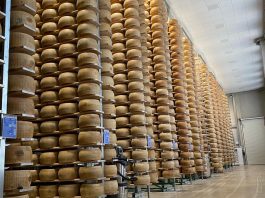 Suzzara, nuovo magazzino Mps: oltre 54mila posti forma in più per il Parmigiano Reggiano