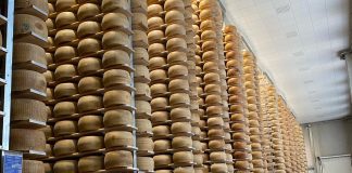 Suzzara, nuovo magazzino Mps: oltre 54mila posti forma in più per il Parmigiano Reggiano