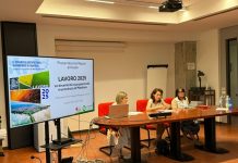 Invecchiamento e carenza di lavoratori, la doppia sfida del lavoro a Mantova