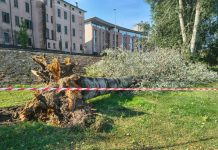 Raffiche oltre i 100 km/h: quattro squadre di Mantova Ambiente al lavoro dopo il maltempo