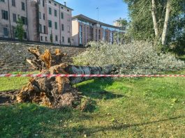 Raffiche oltre i 100 km/h: quattro squadre di Mantova Ambiente al lavoro dopo il maltempo