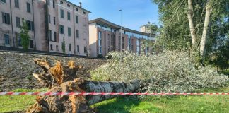 Raffiche oltre 100 km/h: quattro squadre di Mantova Ambiente al lavoro dopo il maltempo