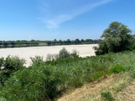 Po già in sofferenza, livelli bassi da Borgoforte a Revere: preoccupano agricoltura e navigazione