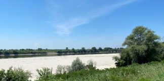 Po già in sofferenza, livelli bassi da Borgoforte a Revere: preoccupano agricoltura e navigazione