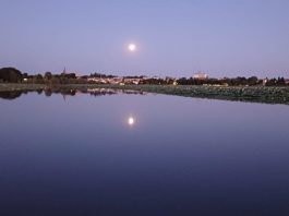 Mantova, tra acqua e stelle: una notte in barca sul Lago Superiore